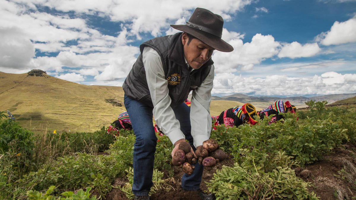 Agroturismo en los Andes: vivir la experiencia del campo peruano